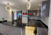 Luxurious New Duplex Penthouse For Rent In Bole Area, Addis Ababa