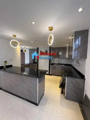 Luxurious New Duplex Penthouse For Rent In Bole Area, Addis Ababa