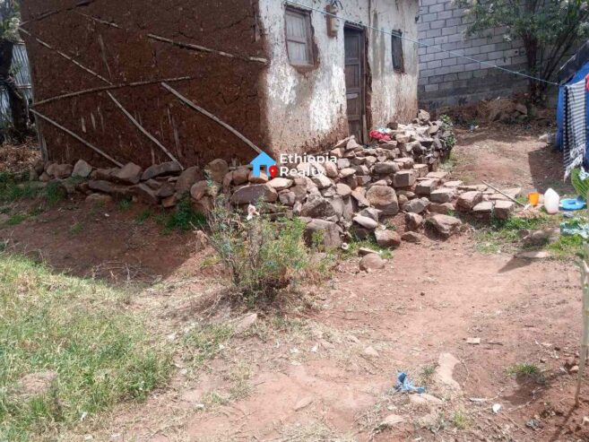 Affordable Land For Sale In Kotebe