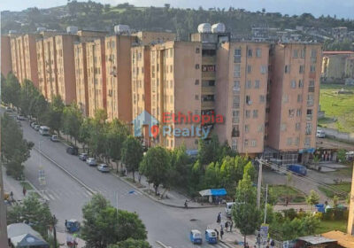 Commercial-Shop-for-rent-in-Addis-Ababa