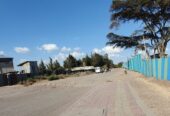 Land & Plots For Sale In Addis Ababa Akaky Kaliti