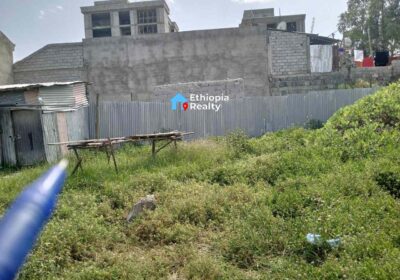 Land-for-sale-in-Bole-Bulbula-image