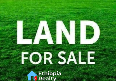 Land-for-sale-in-Kara-image