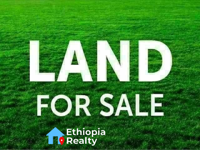 980 Meter-Square Land For Sale In Kara (CD0007)