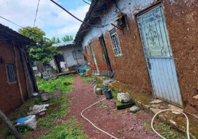 Urgent-Land-for-sale-in-Addis-Ababa-image1-1