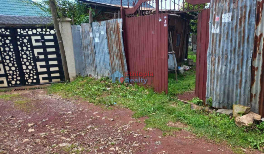 Urgent Land For Sale In Addis Ababa