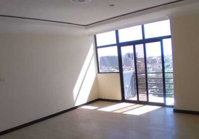 Versatile-154-m²-1st-6th-Floor-Apartment-in-Megenagna-24-Qebele-For-Sale-in-Addis-Ababa001